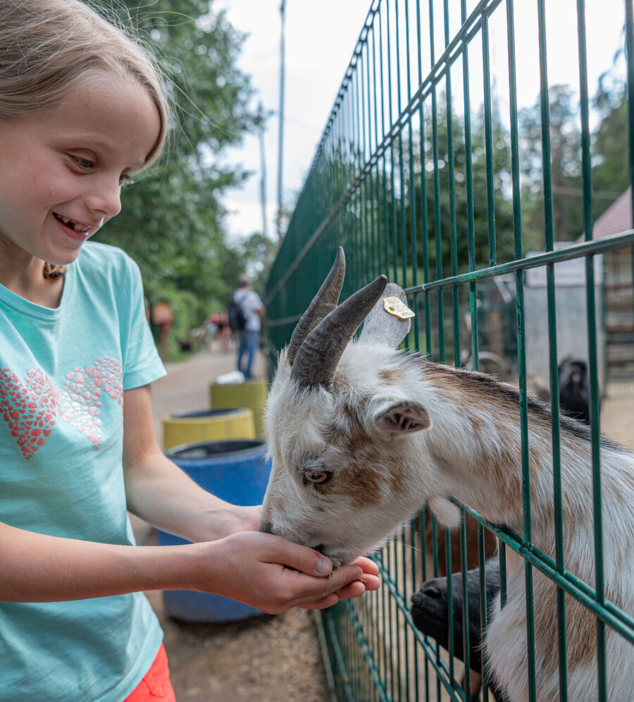 Ziegenfütterung im Tier- und Erlebnispark Lützen