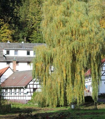 Walkmühle im Eisenberger Mühltal